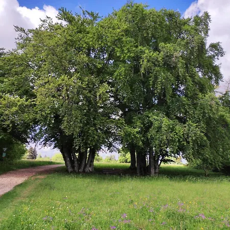 Apfelkiste Apartamento Messstetten
