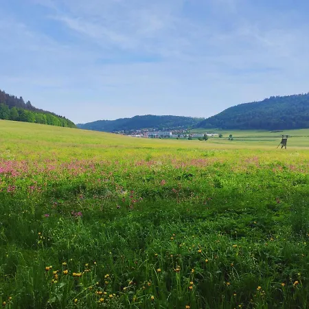 Apfelkiste Messstetten