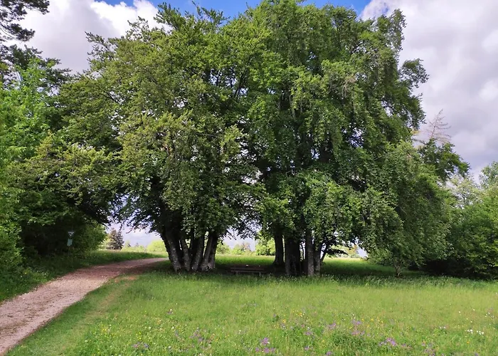 Apfelkiste Apartamento Messstetten